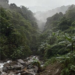 Meet your Posher, Roy